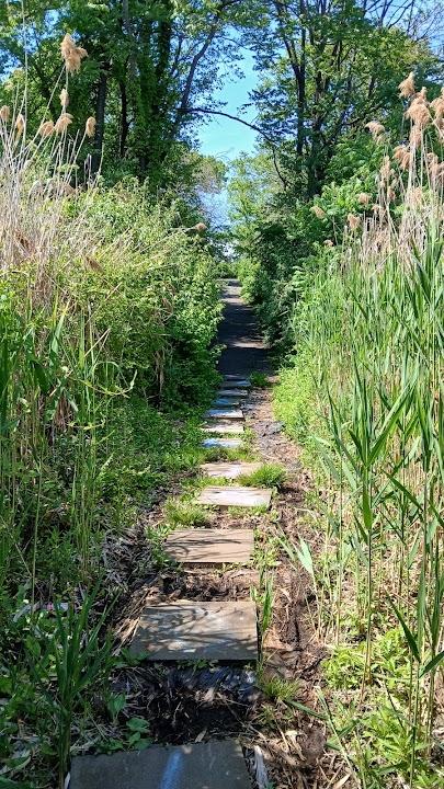 Pat Dolan Trail
