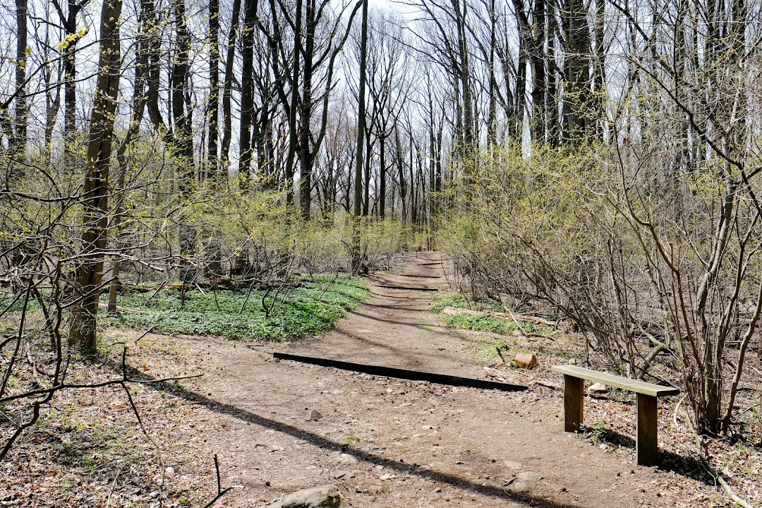 Latourette Park