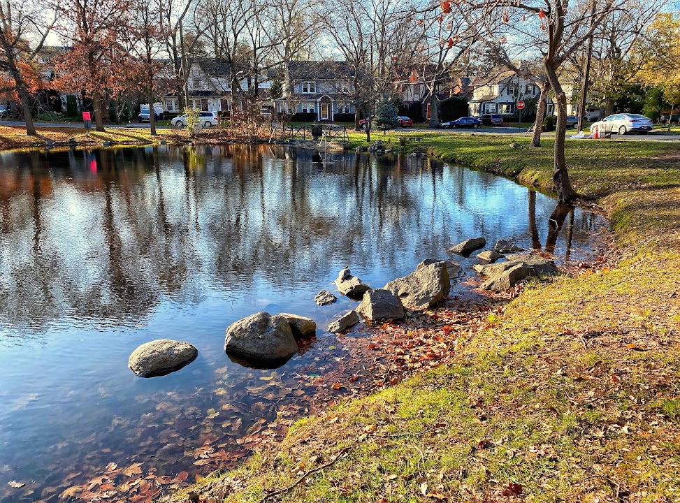 Allison Pond Park