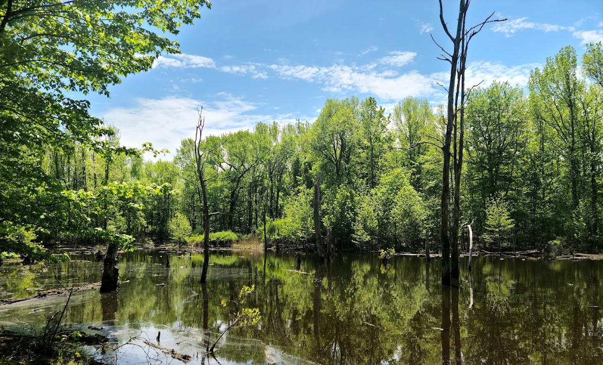 North Mount Loretto State Forest
