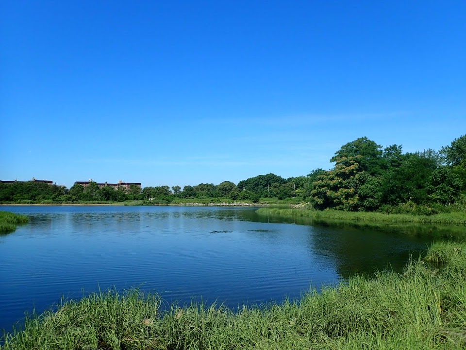 Marine Park Salt Marsh Nature Trail