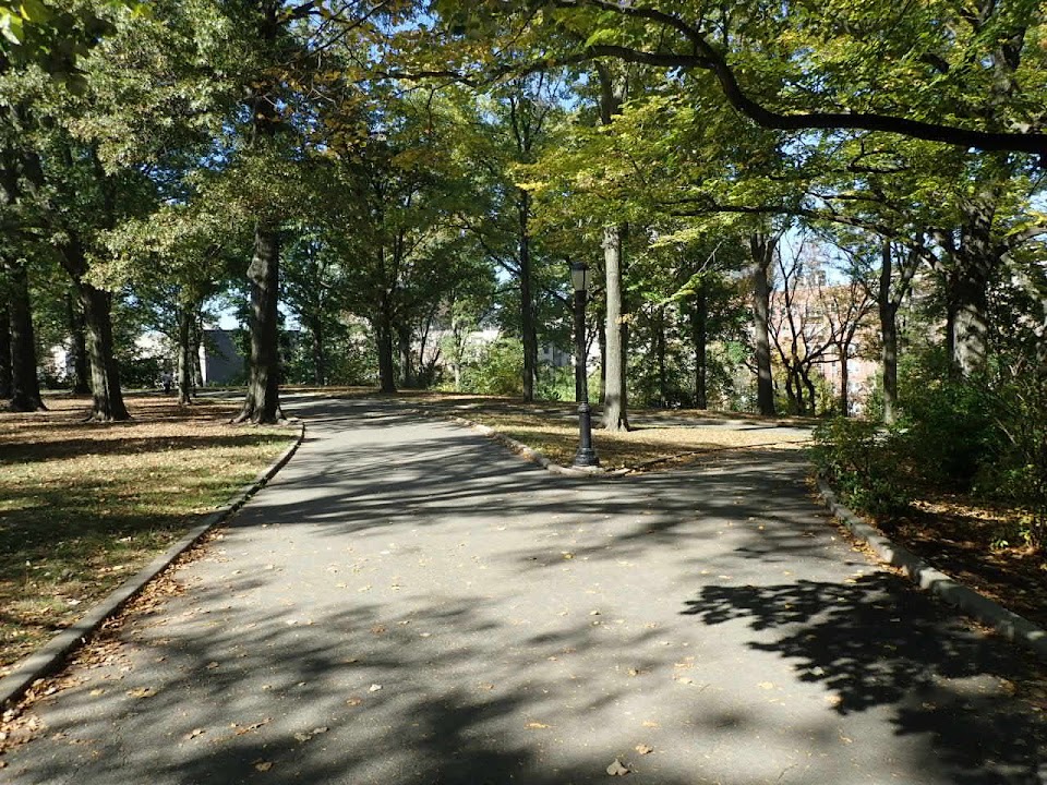 Mount Prospect Park