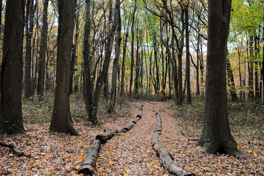 Arden Heights Woods