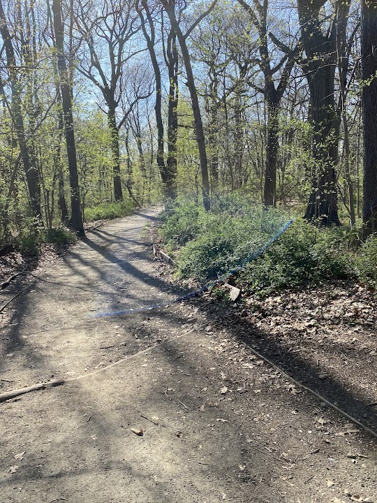 Forest Park Blue Trail Head
