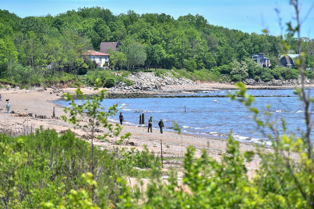 Wolfe's Pond Park