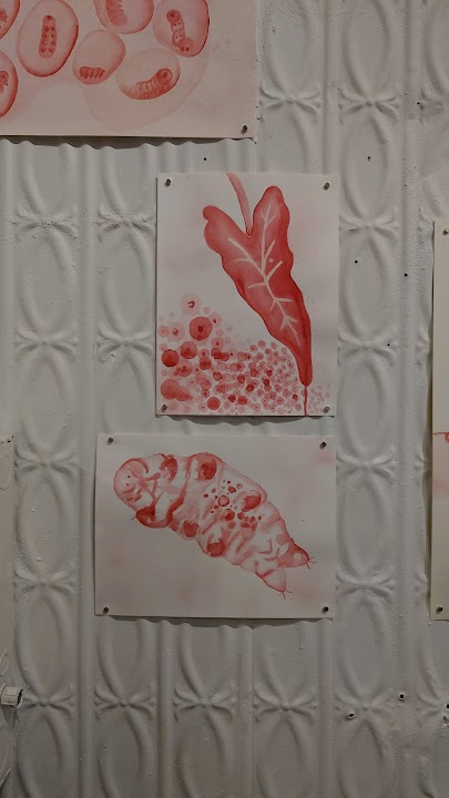 Lorimoto Gallery