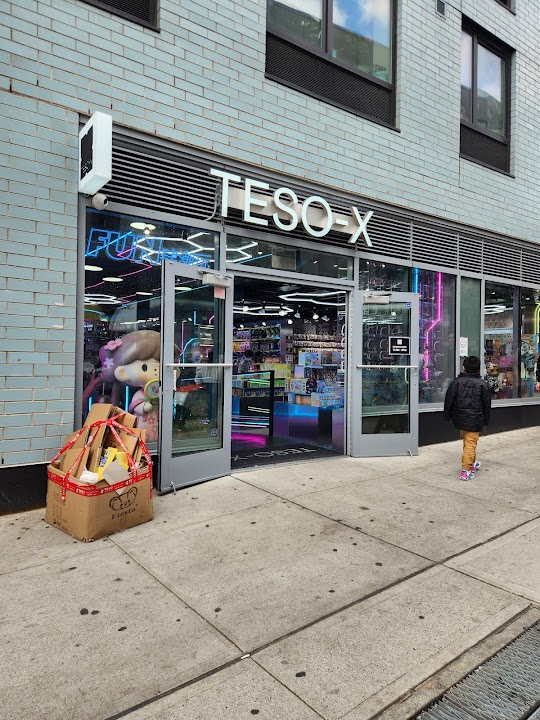TESO-X