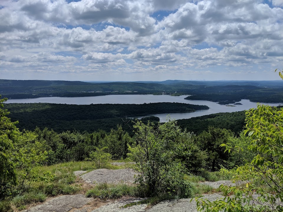 Norvin Green State Forest
