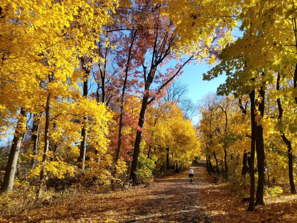 Vanderbilt Parkway