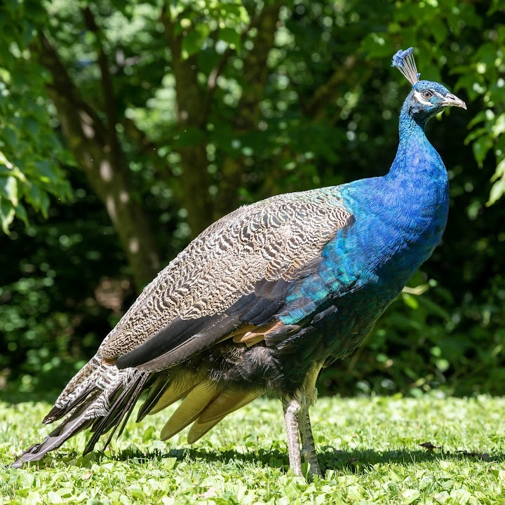 Staten Island Zoo