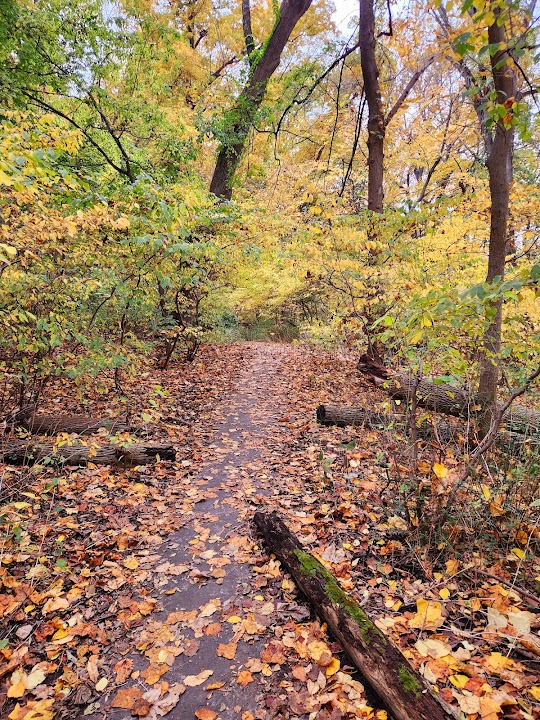 Alley Pond Park Trail