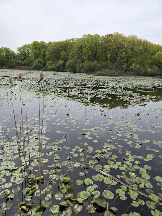 Clay Pit Ponds State Park