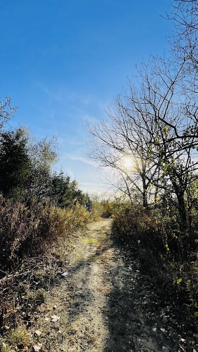 Canarsie Park Hiking Path