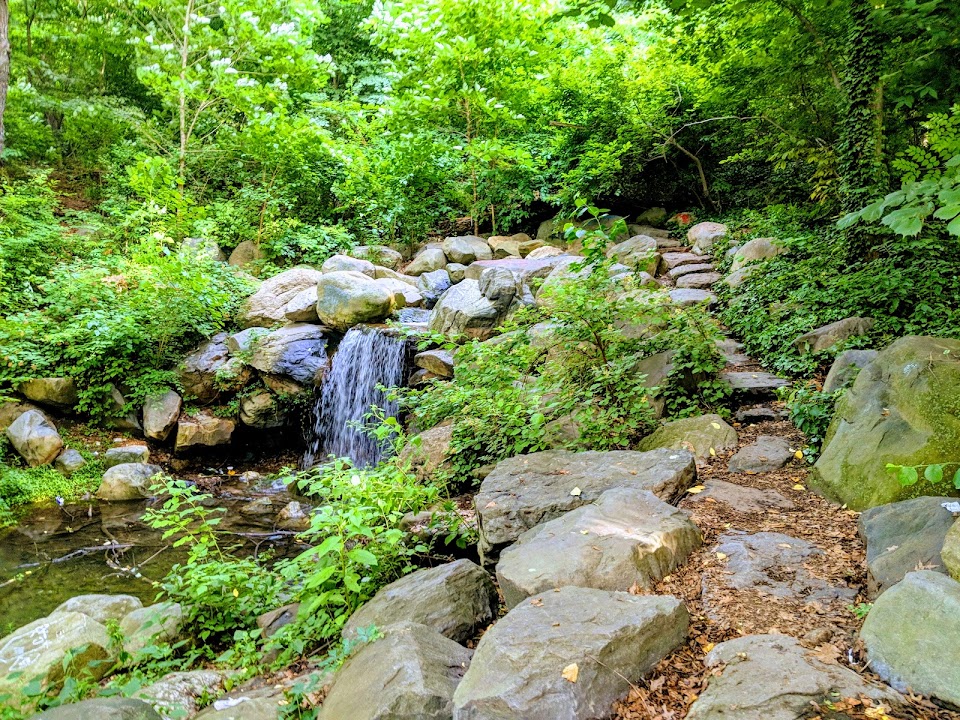 Ravine