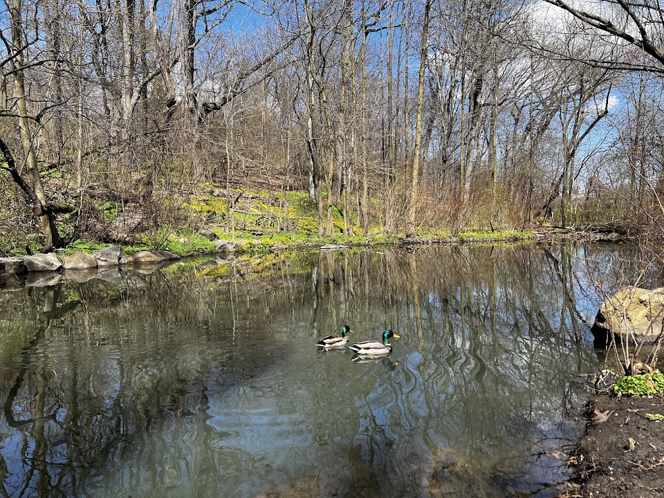 The Loch